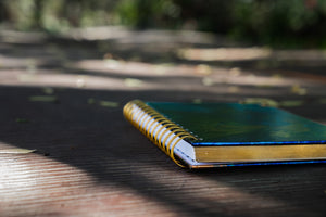 Manifest Journal - Serenity Spiral