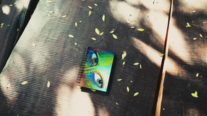 Manifest Journal - Gaze - Spiral